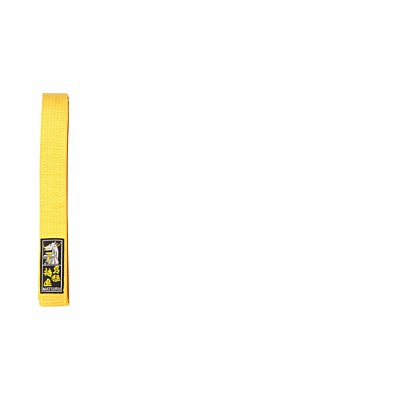 Budo Band Geel